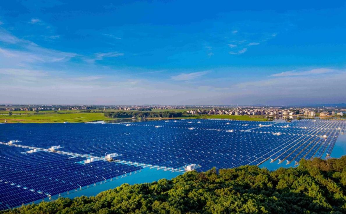 1655372907886533.jpg 3.jpg