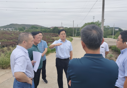 1661351531517129.png 21.png